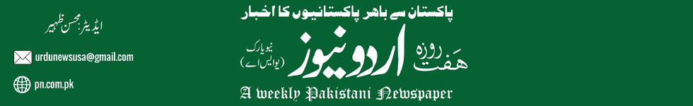 Daily News Pakistan Logo